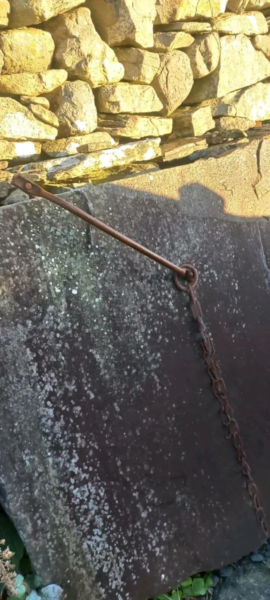 Flag cow stalls - Image 4