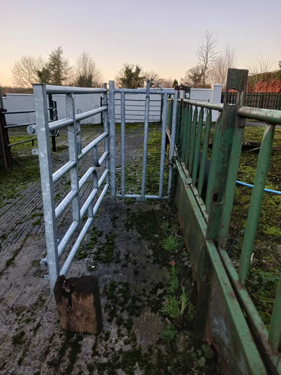 LOADER BUCKETS AND CALVING GATE - Image 2
