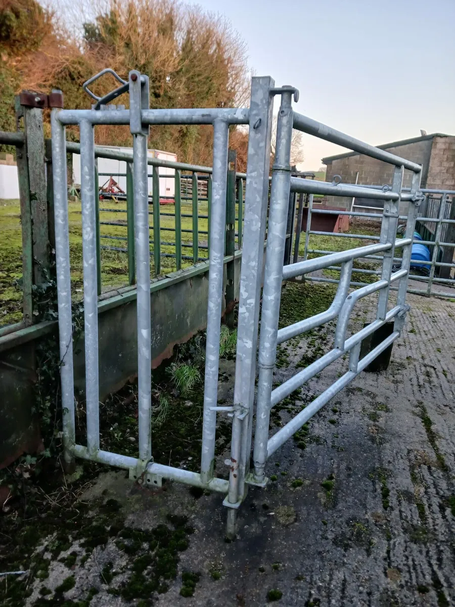 LOADER BUCKETS AND CALVING GATE - Image 3