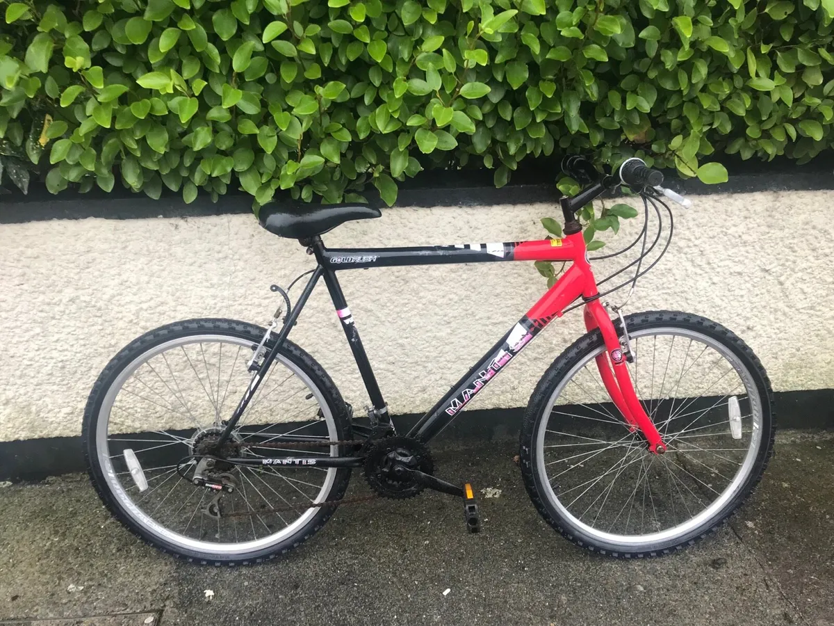 Mountain bike for sale - Image 1