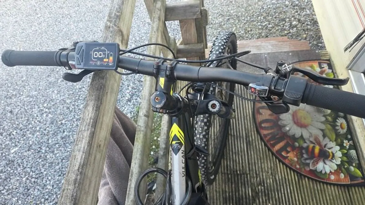 Electric bike 750 W battery 48 V 20 A x2 - Image 2