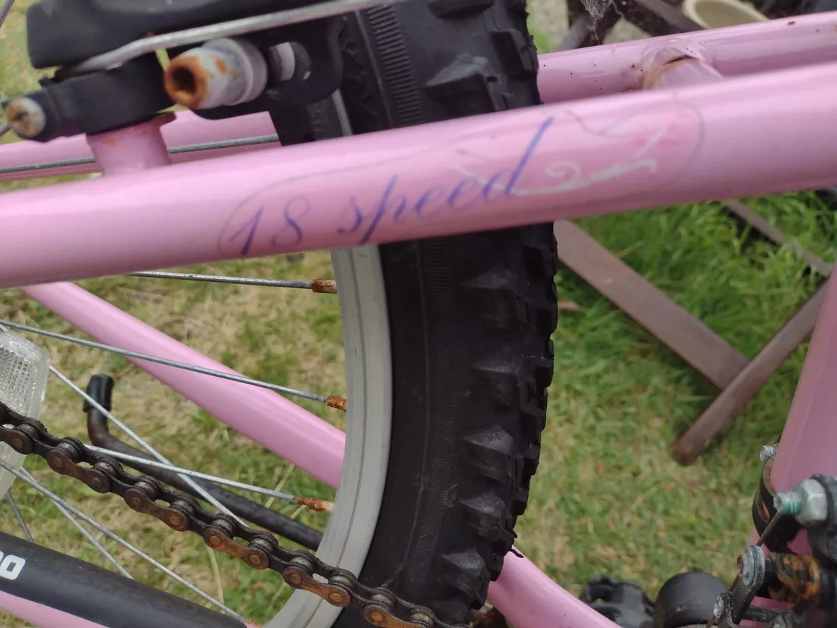 Heavy kids or ladies mountain bike front suspensio - Image 4