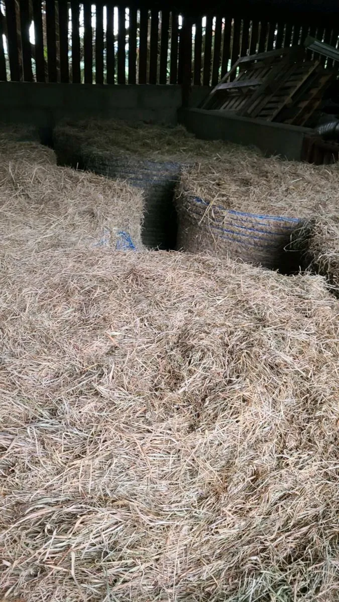 Hay Bales - Image 2