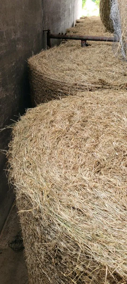 Hay Bales - Image 3
