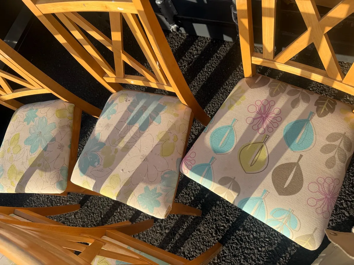 5 dining chairs - Image 3