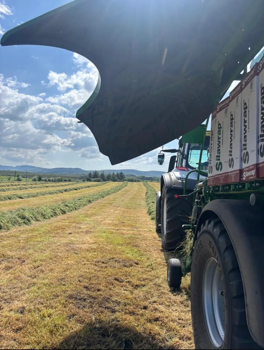 Silage bales - Image 2