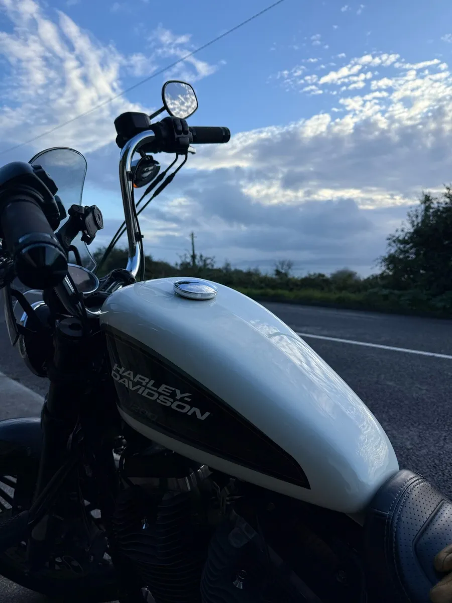 Harley Davidson roadster sportster - Image 2