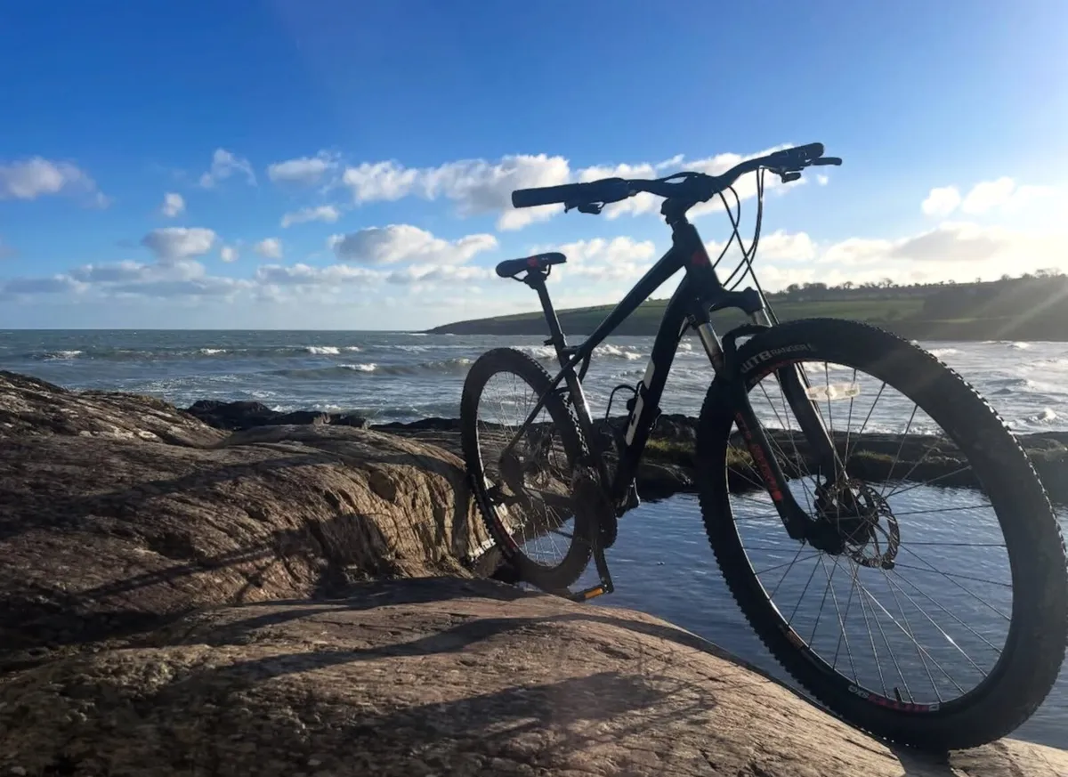 GT Aggressor Disc 29” - Medium - Image 1