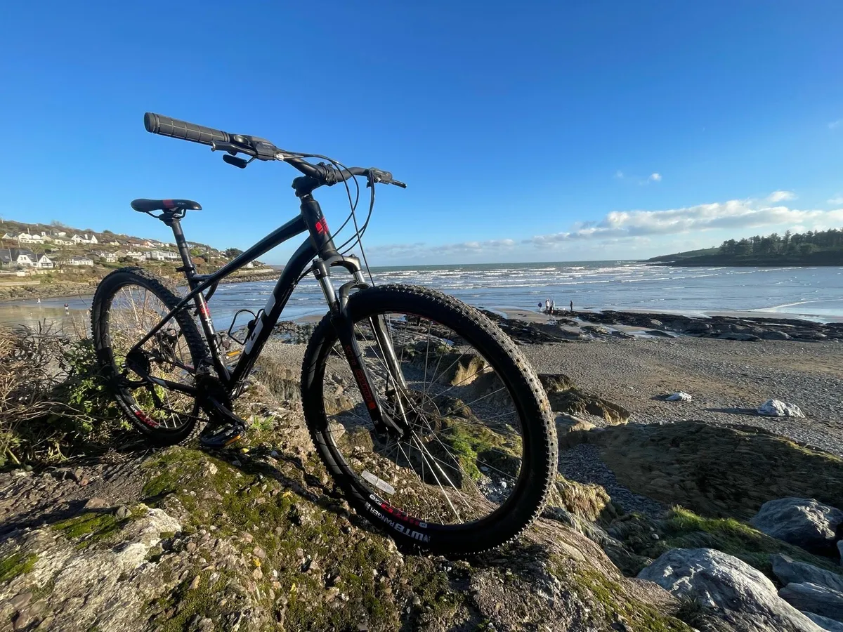 GT Aggressor Disc 29” - Medium - Image 3