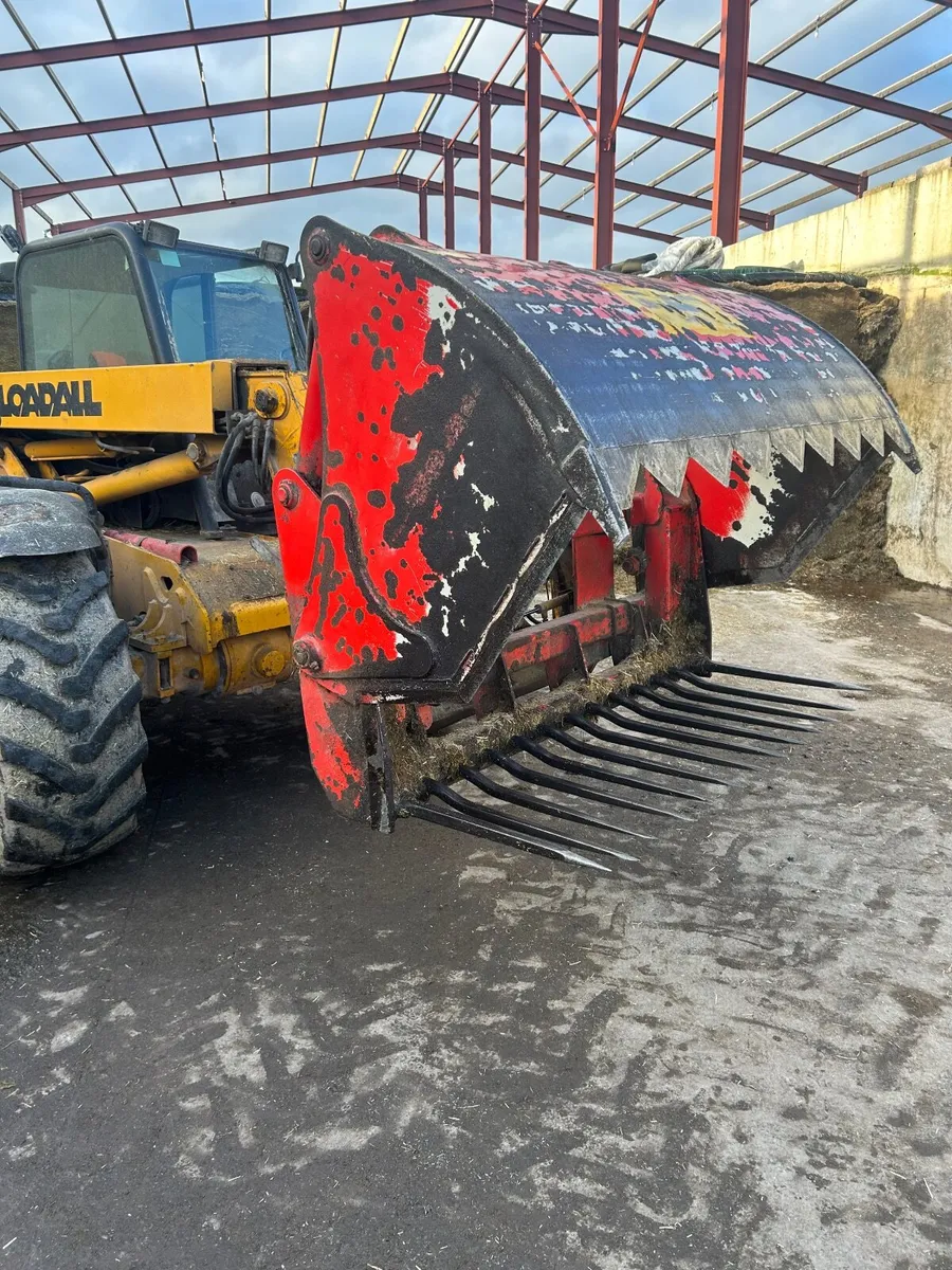 Shear grab - Image 2