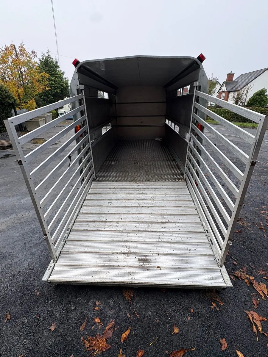 12 x 6.6 Cattle Trailer - Image 3