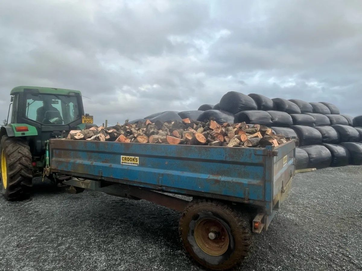 Firewood - Image 3