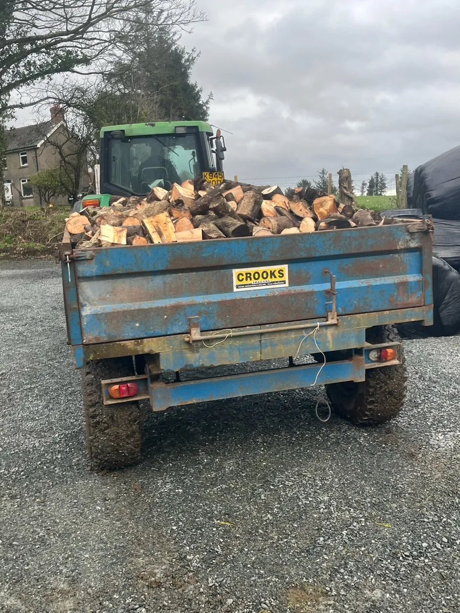 Firewood - Image 4
