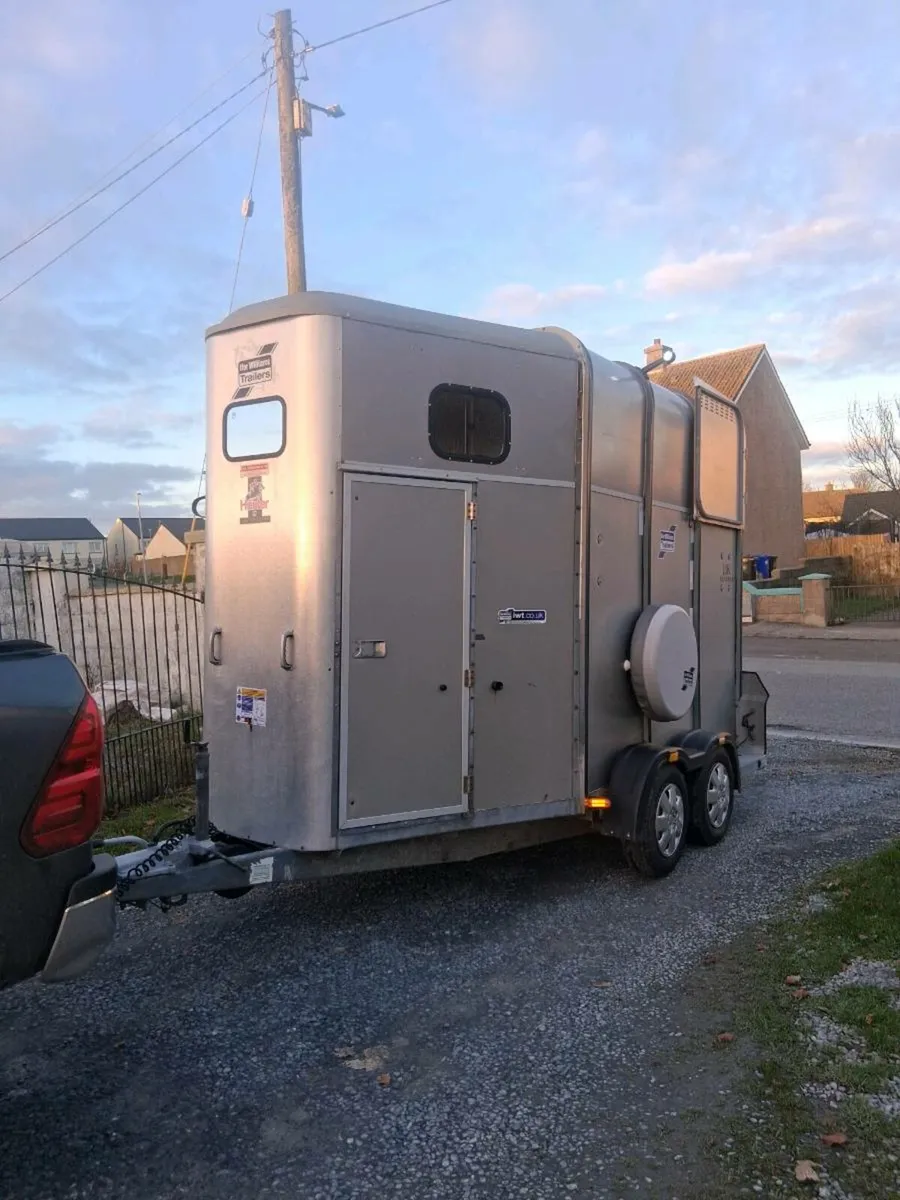 Iforwillams HB510 classic - Image 3