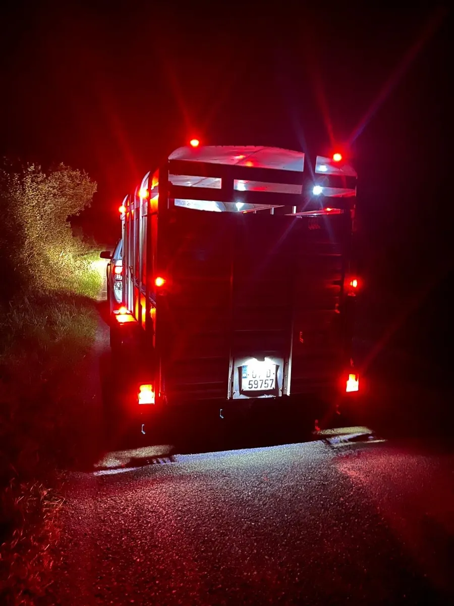 IforWilliams Trailer - 12x5ft + sheep decks - Image 1