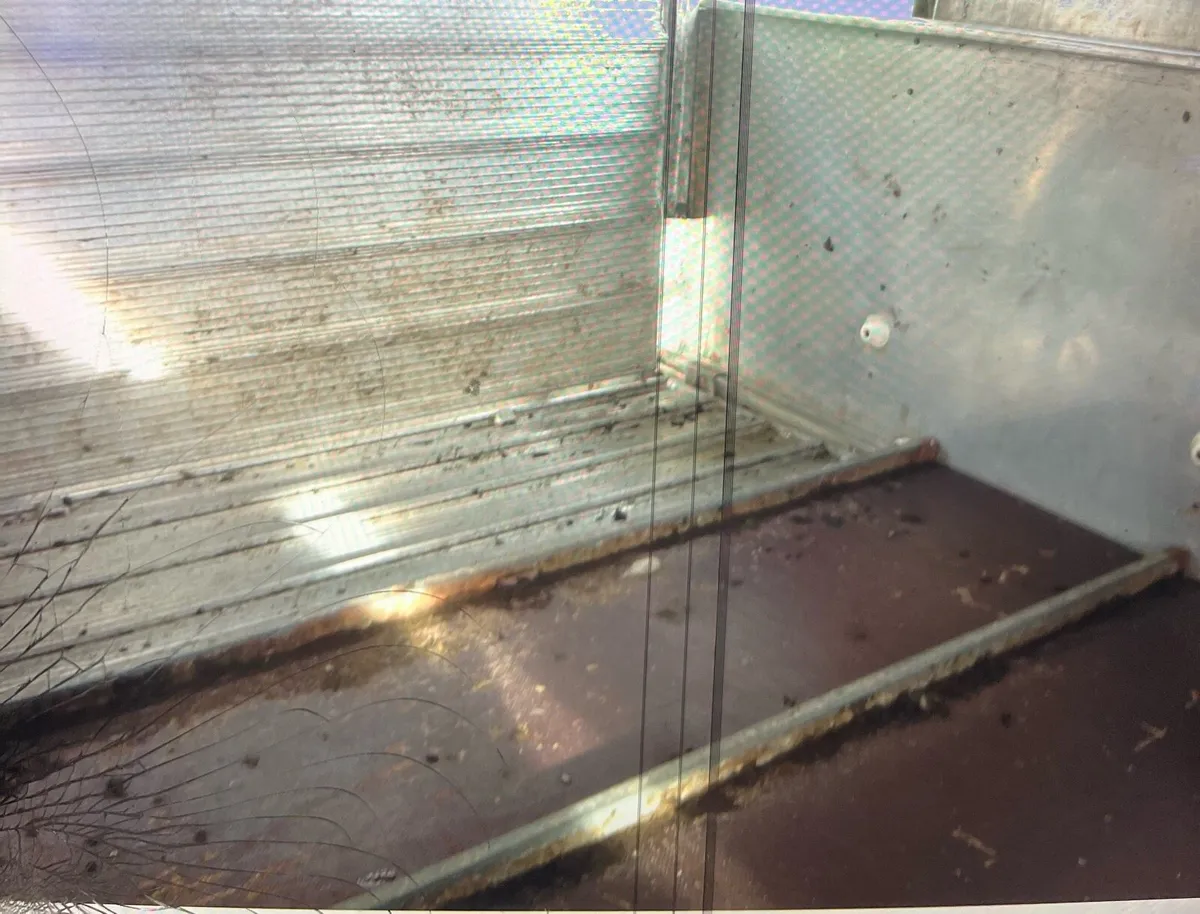 IforWilliams Trailer - 12x5ft + sheep decks - Image 2