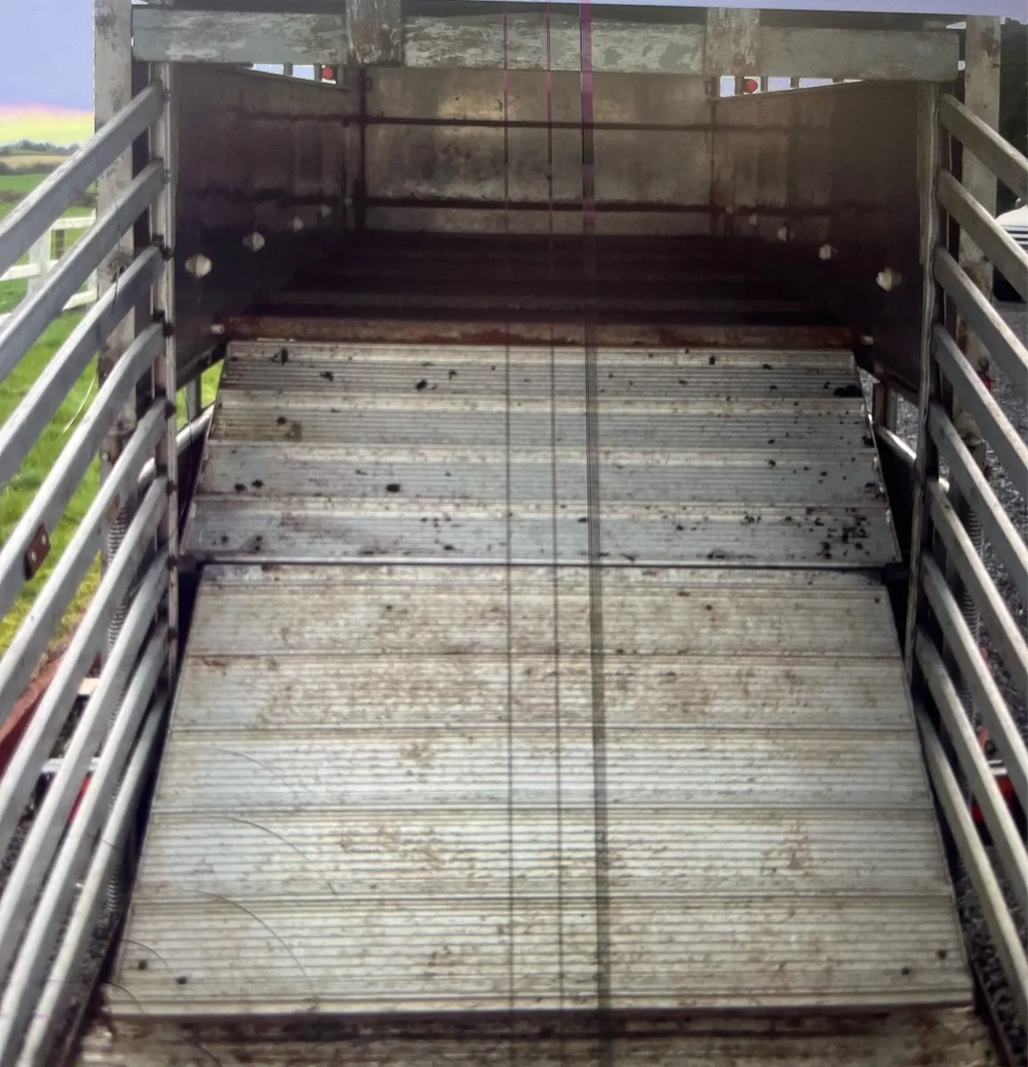 IforWilliams Trailer - 12x5ft + sheep decks - Image 3