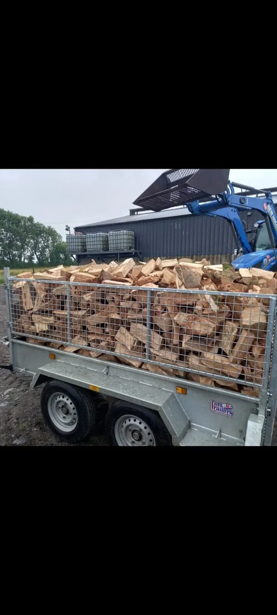Fire wood - Image 2