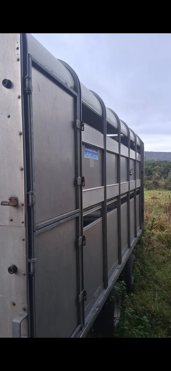 Ifor williams body - Image 3