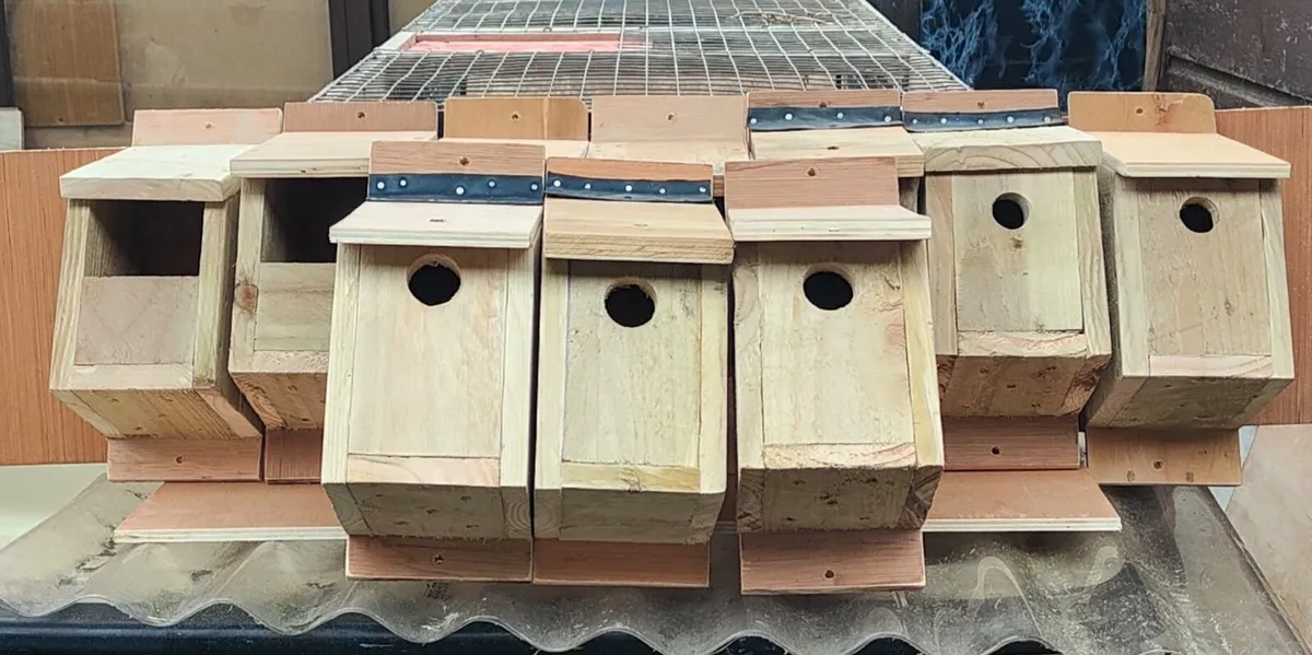 Bird Nest Boxes - Image 1