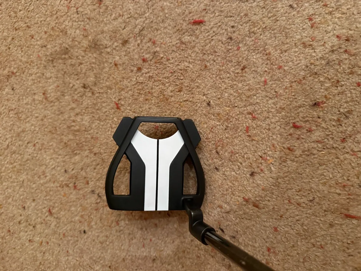 Taylormade Spider Tour X - Image 3