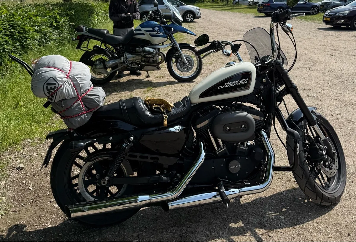 Harley Davidson roadster sportster 1200 - Image 4