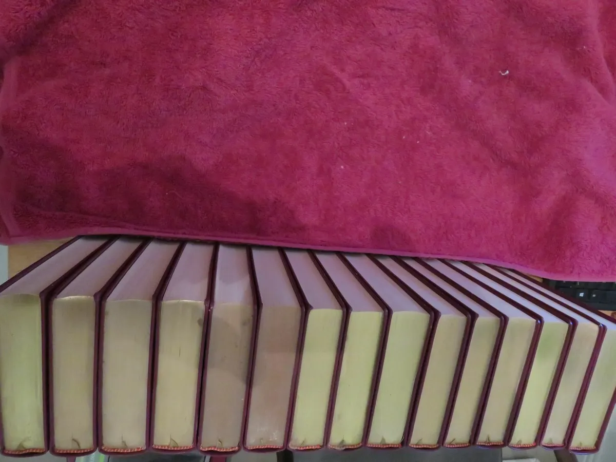 Dickens book collection - Image 2