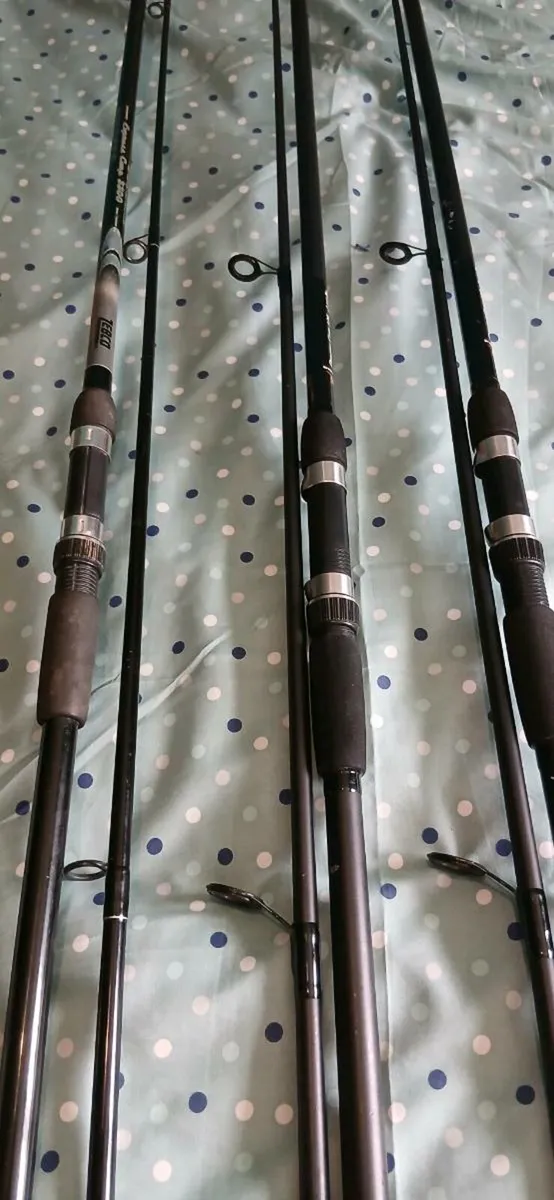 Fishing rods - Image 2
