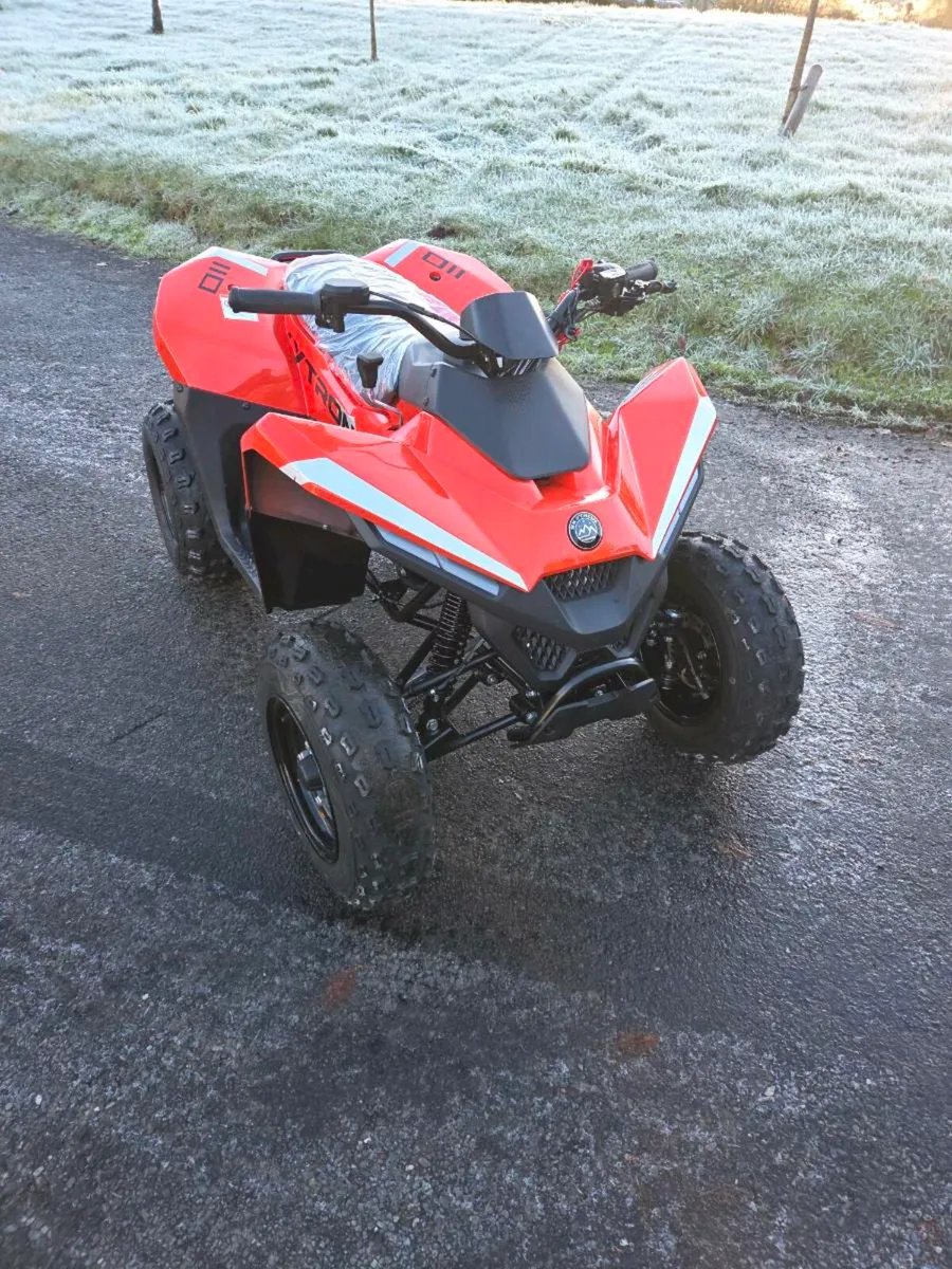 Skytron 110cc - Image 1