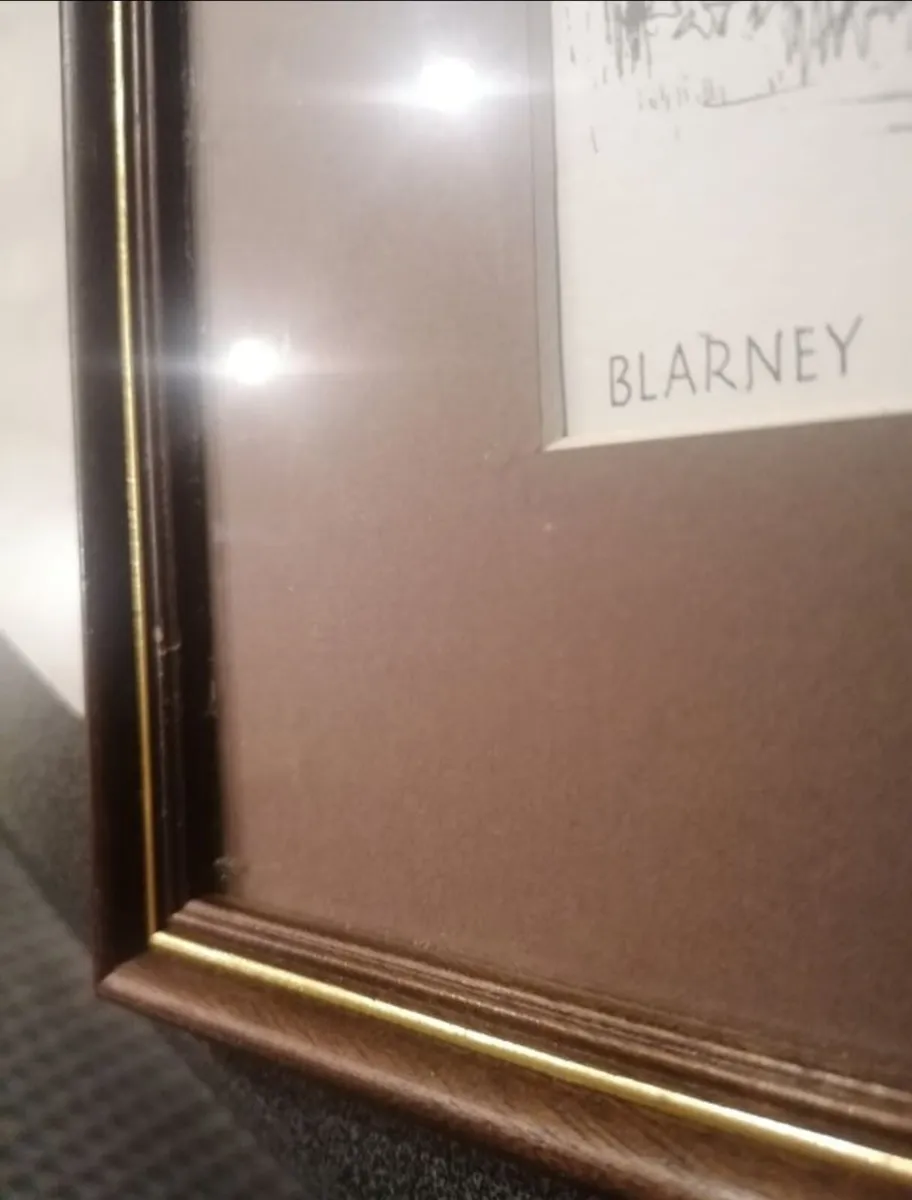 Blarney Castle by Leach - Image 4