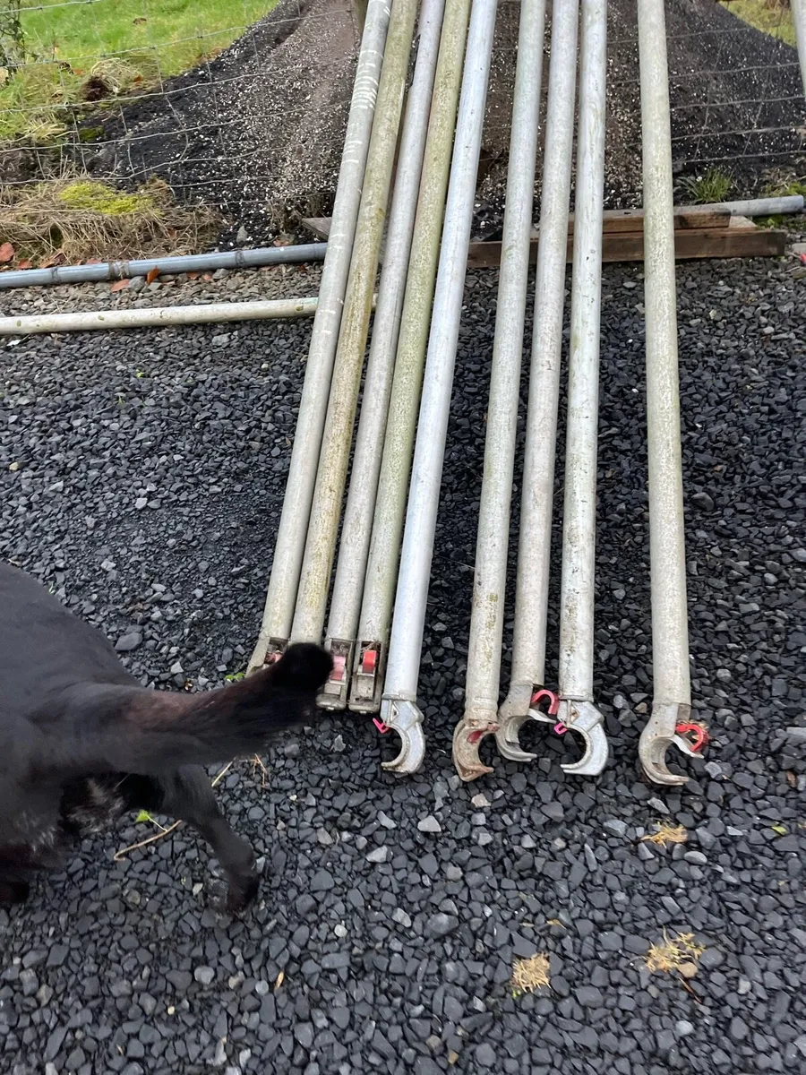 Boss scaffolding - Image 2