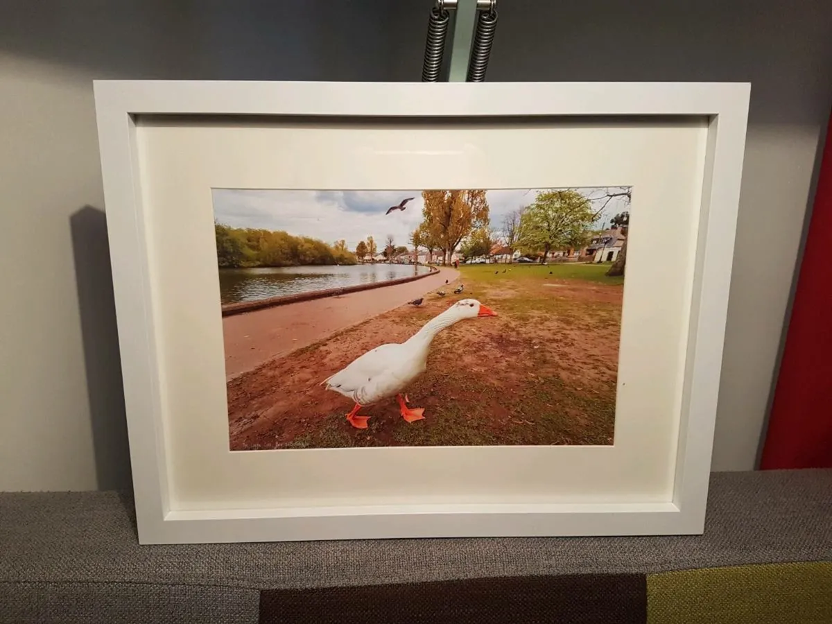 The Lough, Cork - Image 4