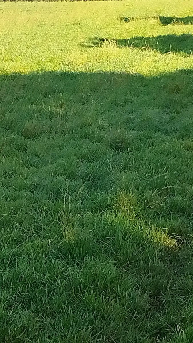 Looking for Farm or tractor work - Image 1