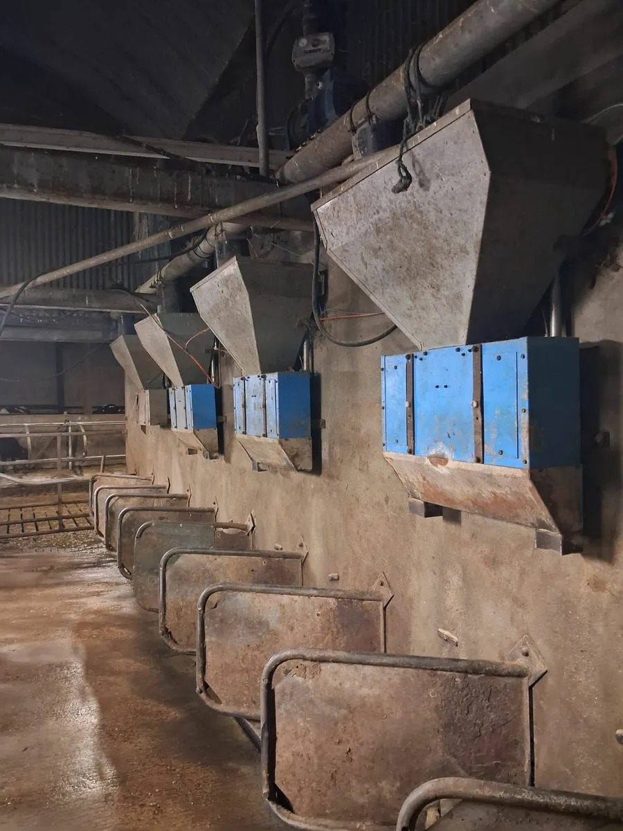 Cashman Air Feeders - Image 1