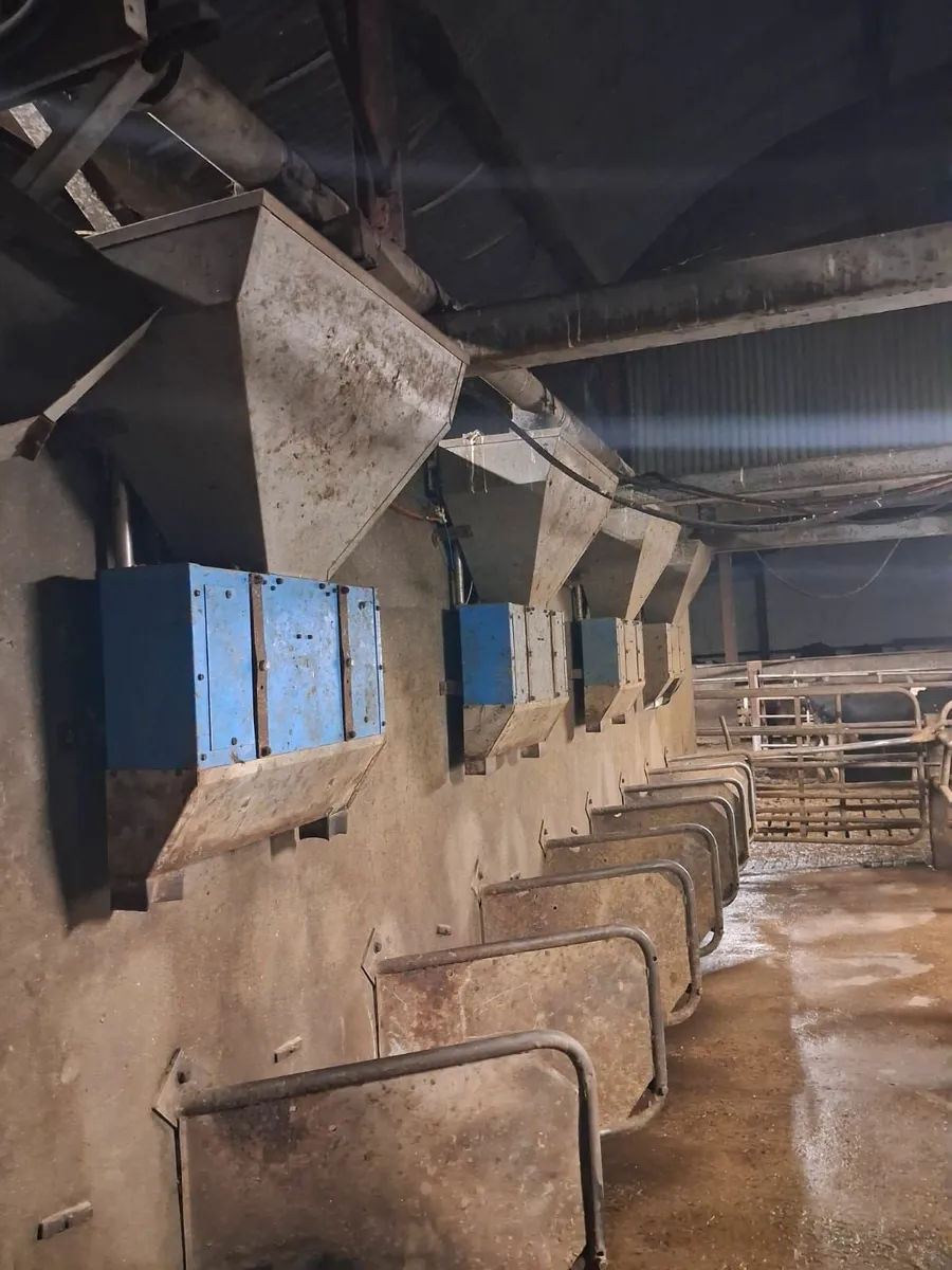 Cashman Air Feeders - Image 2