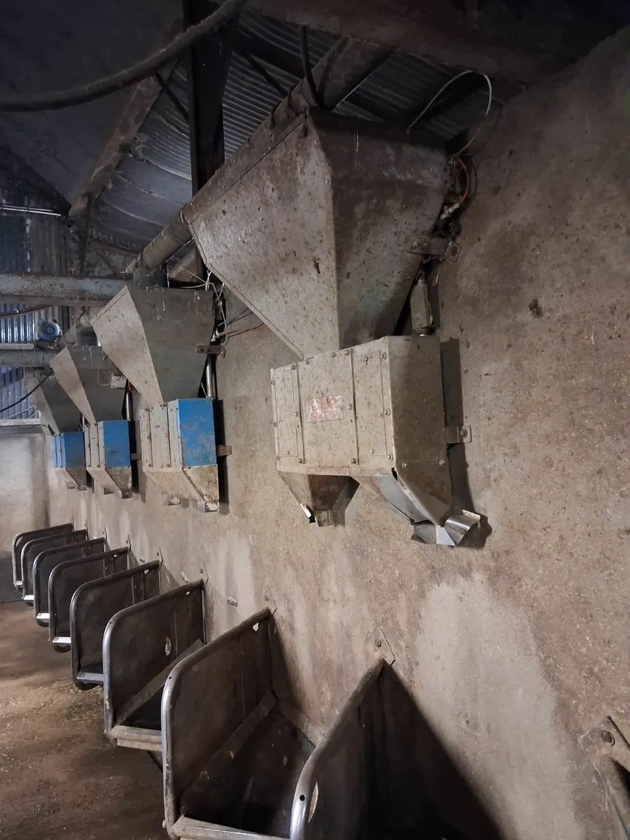 Cashman Air Feeders - Image 3