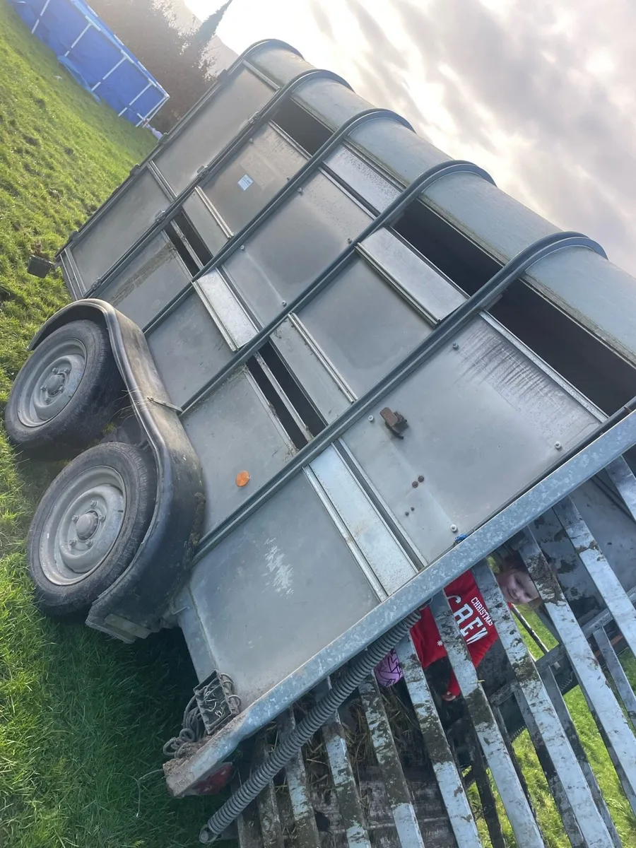 Ivor Williams 10x5 - Image 3