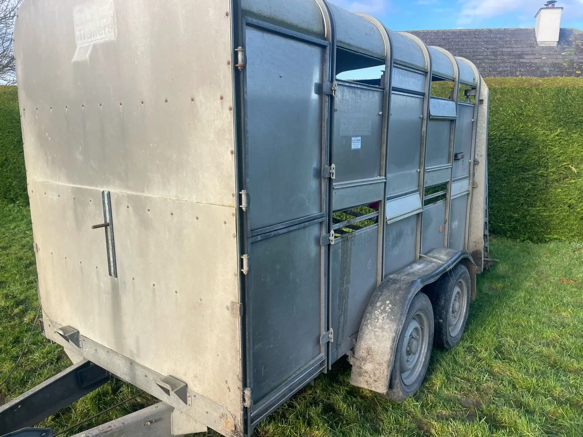 Ivor Williams 10x5 - Image 4