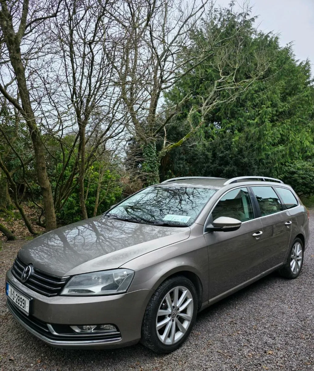 Volkswagen Passat 2.0 - Image 1