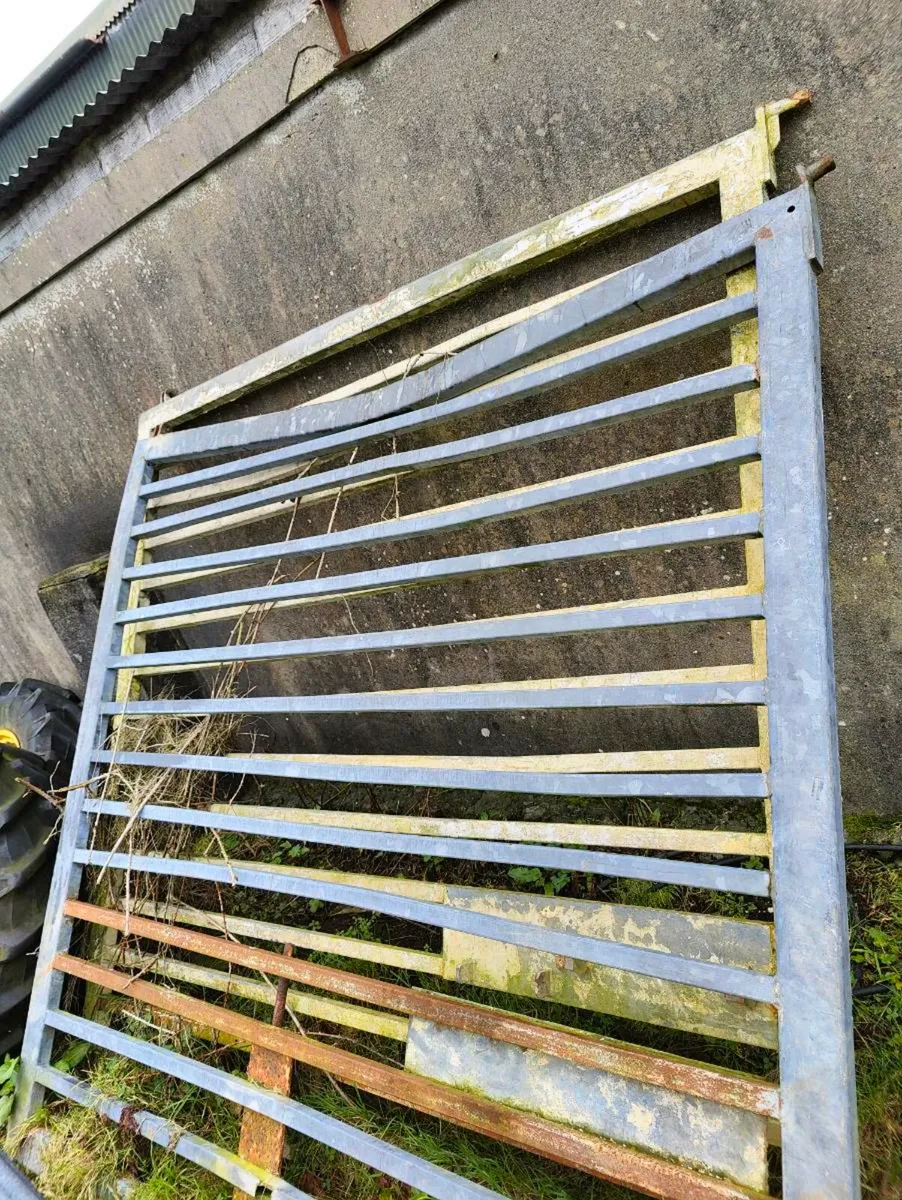 8 foot gates - Image 1