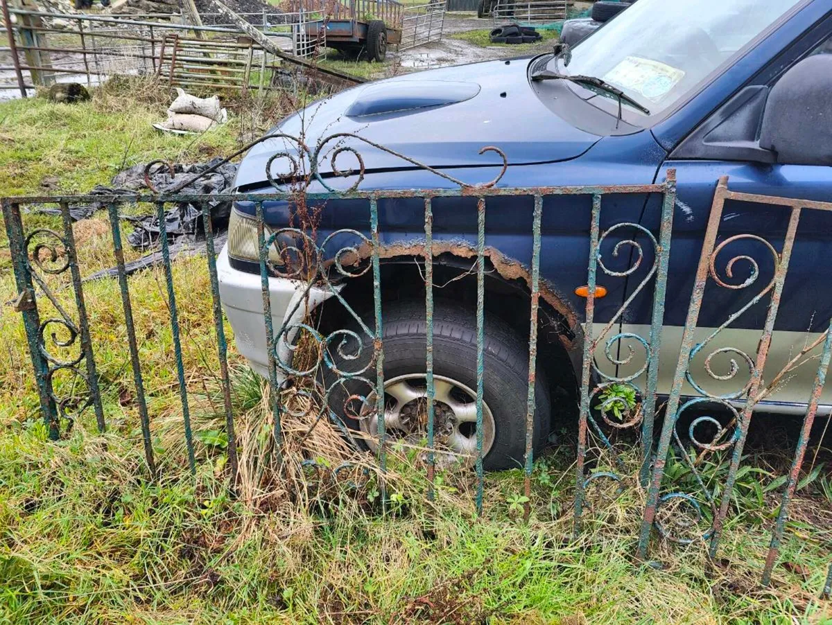 Garden gates - Image 2