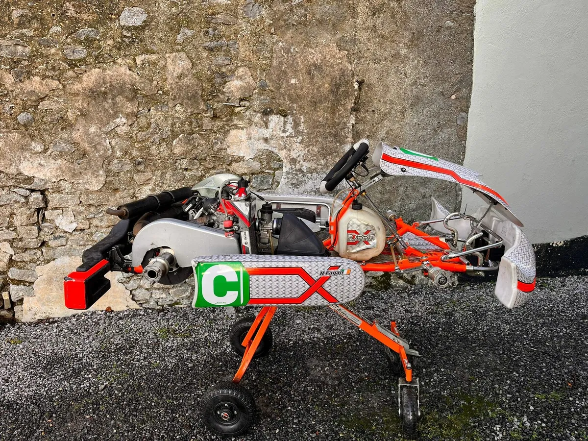 Rotax senior max - Image 4