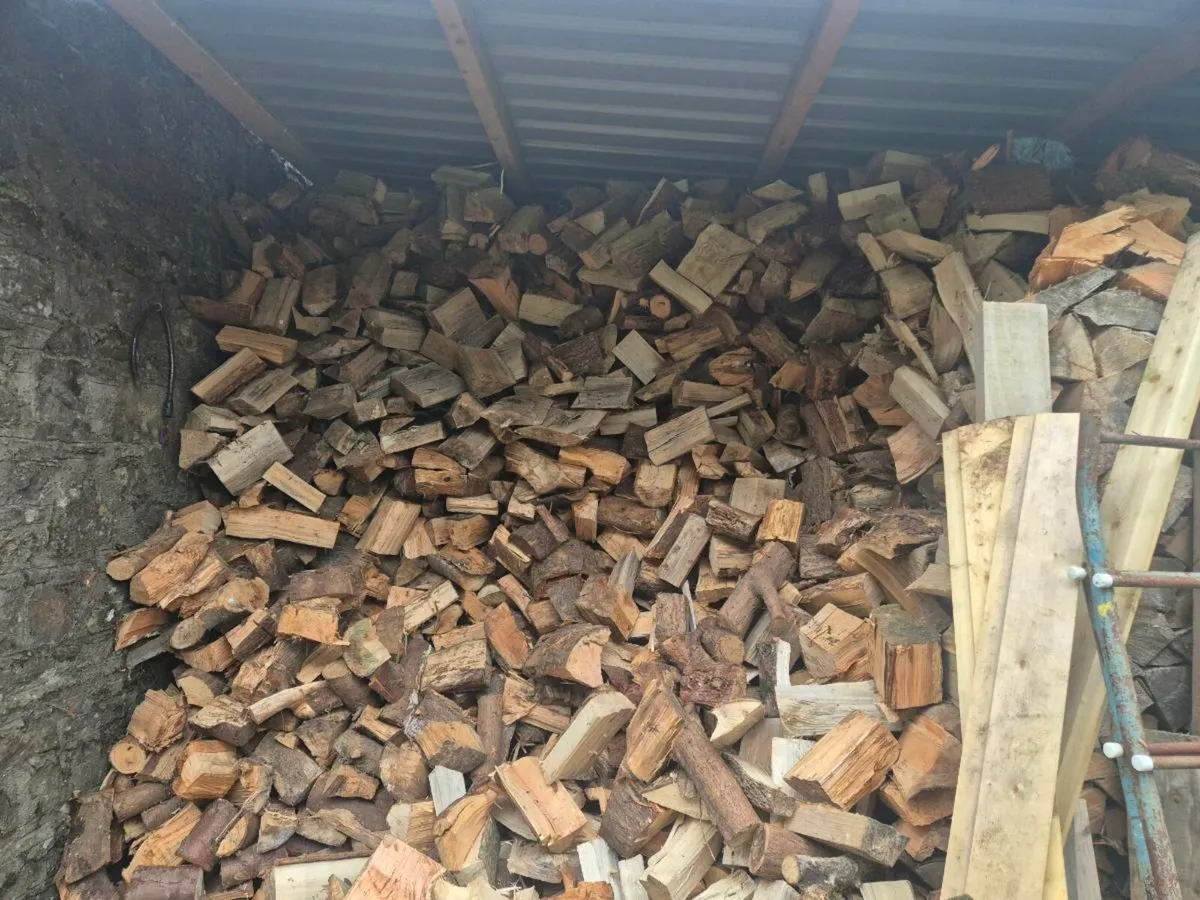 Timber for sale 10 foot by 7 tipper load - Image 3