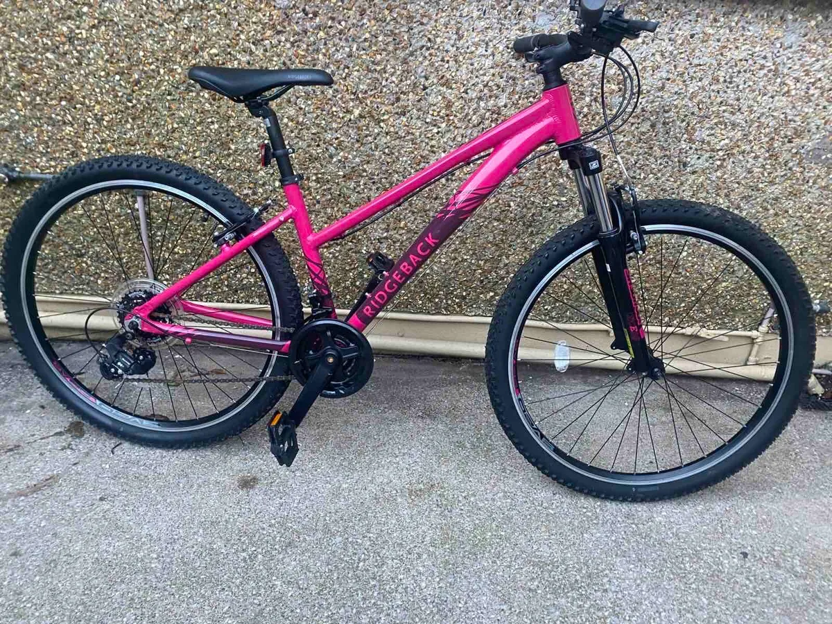 Ridgeback Mountain Bike - Image 1