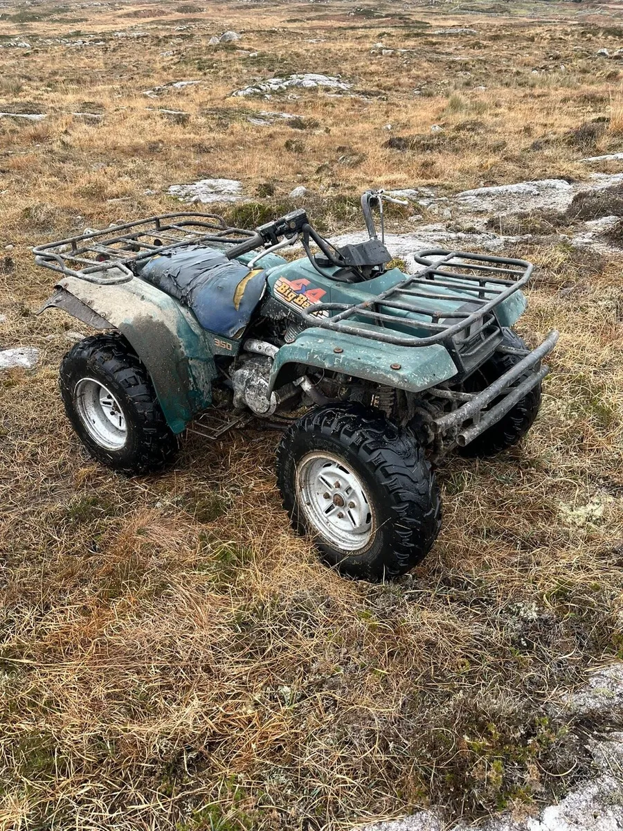 Yamaha big bear 350 - Image 2