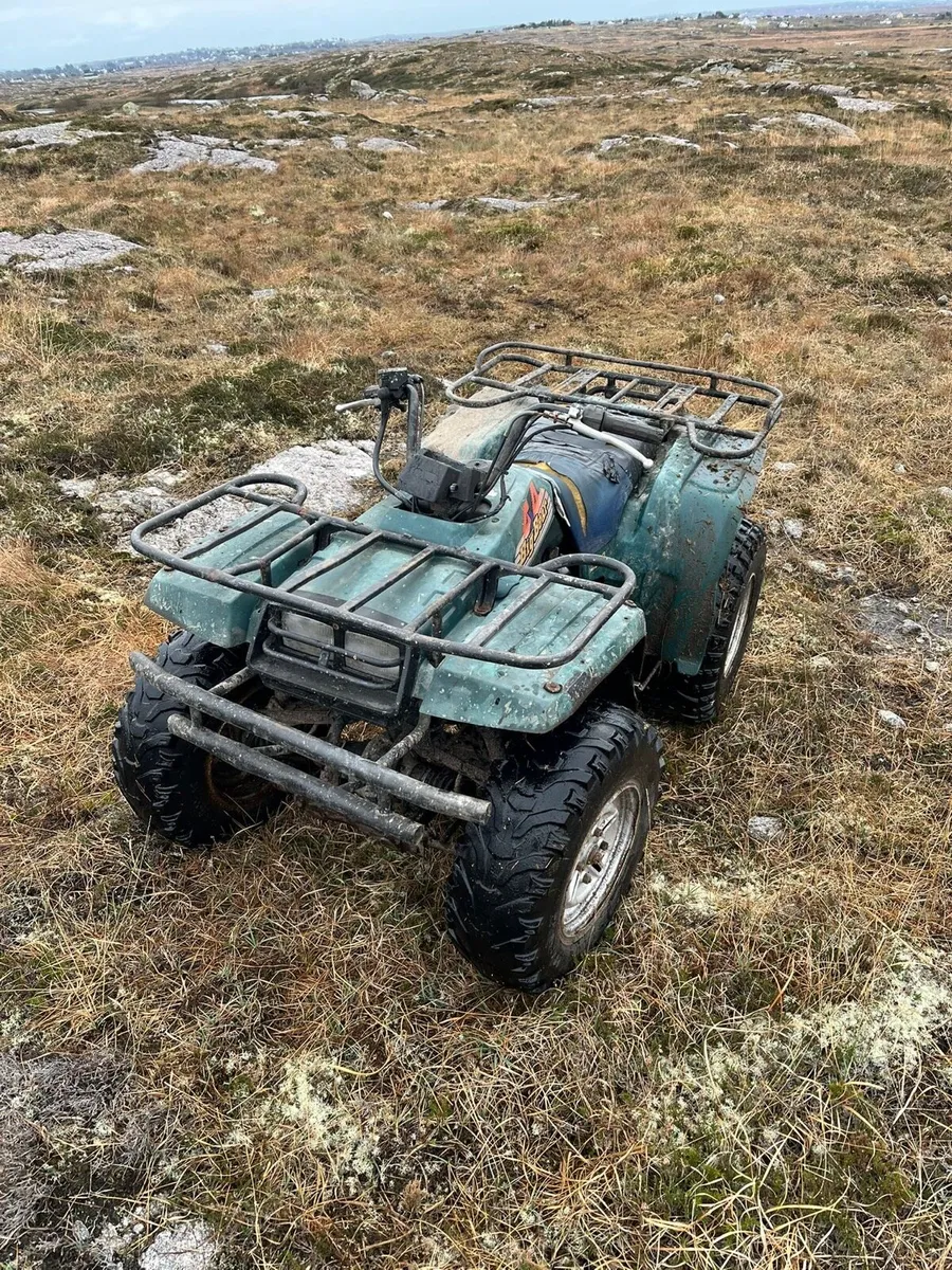 Yamaha big bear 350 - Image 3