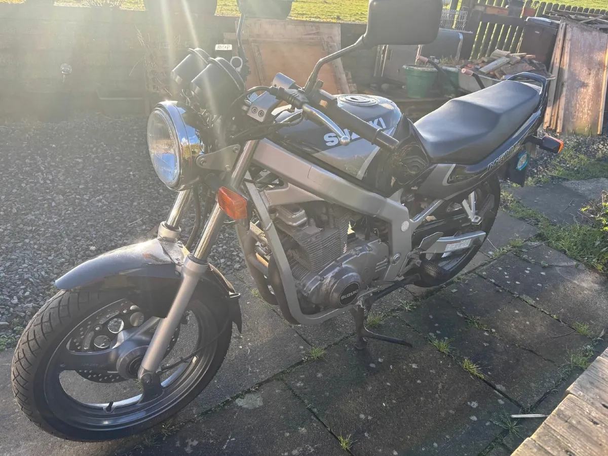 Suzuki GS 500E 2001 - Image 2