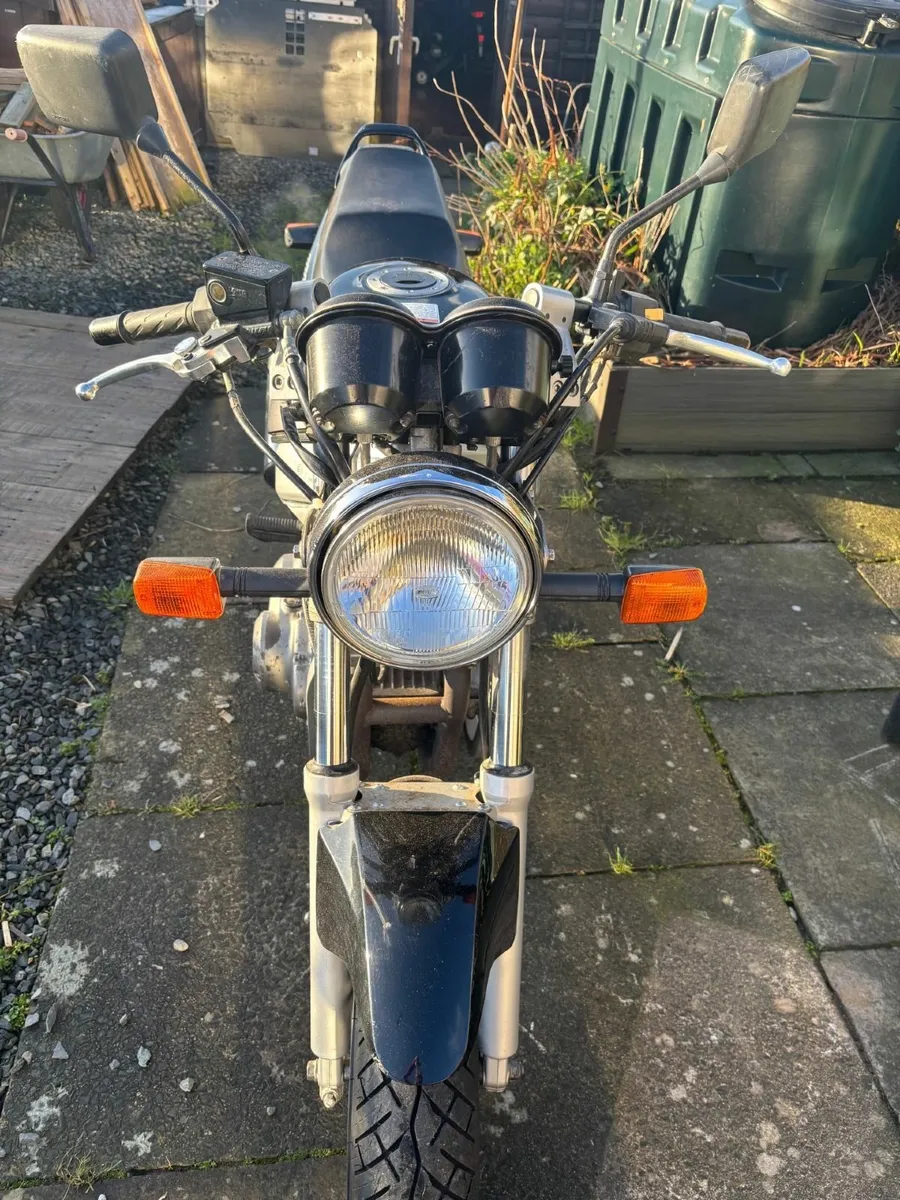 Suzuki GS 500E 2001 - Image 3