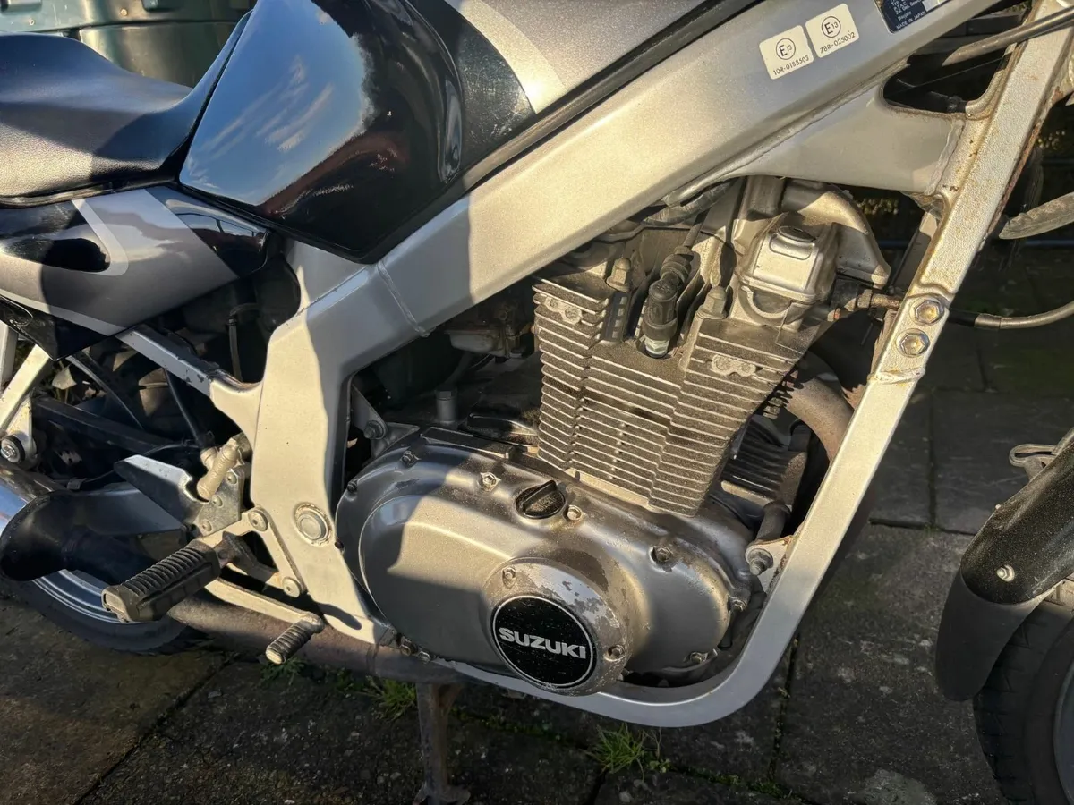 Suzuki GS 500E 2001 - Image 4