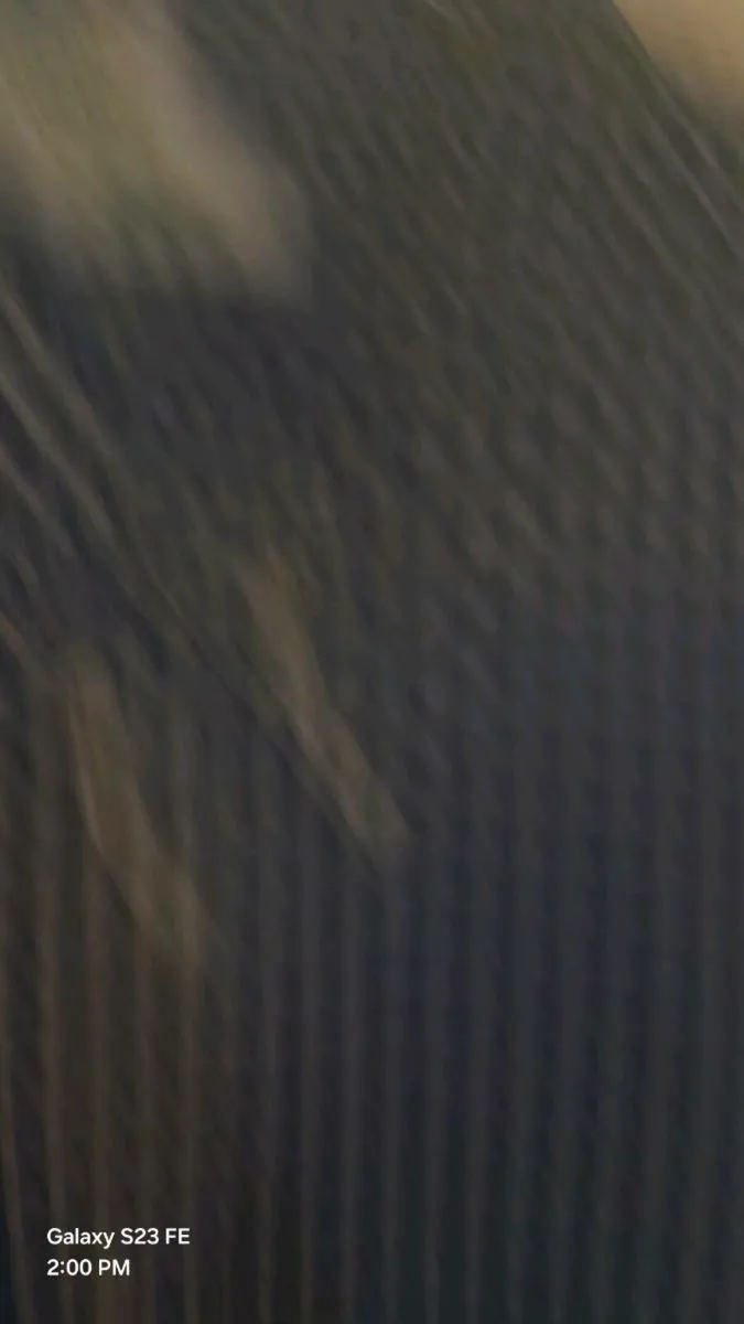 Lacoste xl mens shirt in excecelnt condition - Image 3